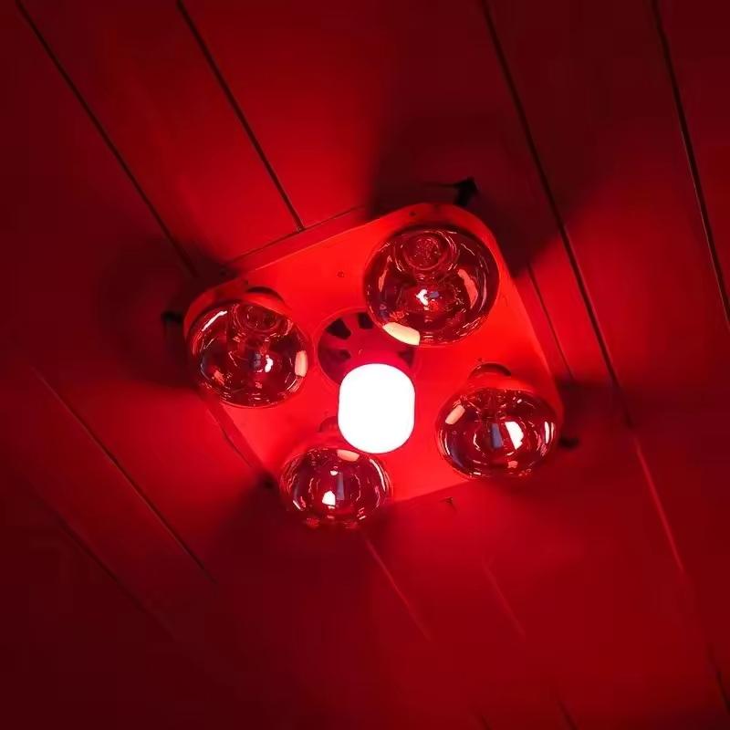 Lighting Christmas Decor - New High Power Red LED Light