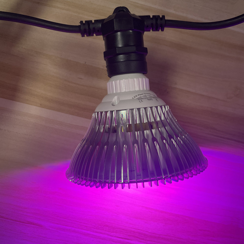 10M Cable LED String Commercia - đánh giá và giá Lighting Decor Ideas