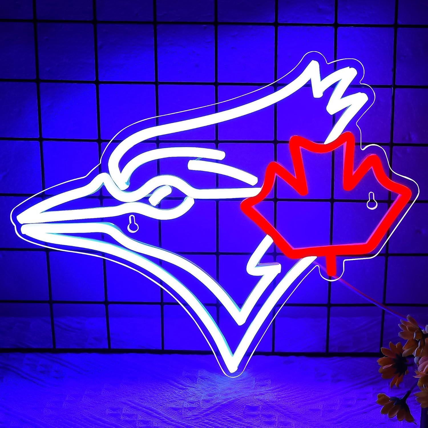 USB Dimmable Blue Jay with Map - đánh giá và giá Jay Lighting Decor